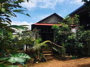 邦隆Ratanakiri Farmhouse & Trekking的前面有一堆植物的房子