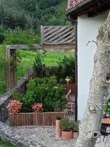 贝尔加拉Izal Landetxea的种植了凉棚和植物的花园