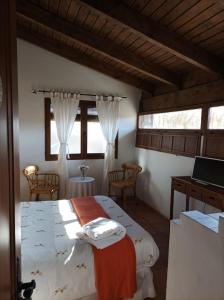 Condemios de AbajoLa Casa de los Gatos的一间卧室设有两张床和两个窗户。