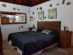 伊科德洛斯维诺斯Finca Los Ciruelos Casas Rurales的一间卧室配有一张床和镜子