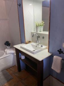 伊科德洛斯维诺斯Finca Los Ciruelos Casas Rurales的一间带水槽和镜子的浴室