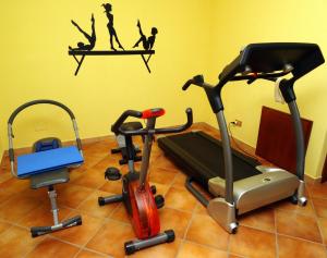 DolianovaBB DoliaHouse的健身房设有两辆健身自行车和跑步机