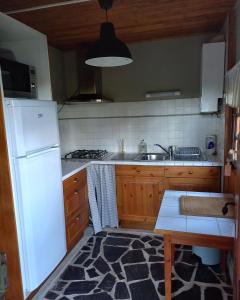 讷维克Ma Cabane Au Bord Du Lac的厨房配有白色冰箱和水槽