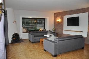 尼德根Ferienwohnung Rureifel的客厅配有两张沙发和一台电视机