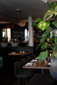 登堡Gravenstraat的餐馆里种有盆栽的植物,有桌椅