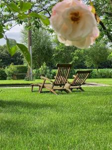 LievegemB & B Victors Hof的两个木凳,坐在草地上,有一朵玫瑰