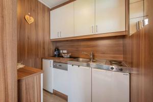 施图拜河谷新施蒂夫特伽斯海姆克鲁巴赫公寓的厨房配有白色橱柜和水槽