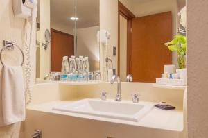 瓜达拉哈拉瓜达拉哈拉世博广场酒店的一间带水槽和大镜子的浴室