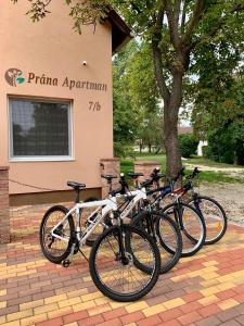 HerendPrána Apartman的停在大楼前的一群自行车