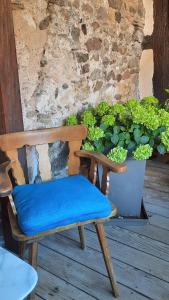 贝格海姆La Charpenterie的 ⁇ 花植物旁的带蓝色靠垫的木椅