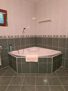 埃尔德Villa Csilla elegant house的瓷砖浴室设有浴缸。