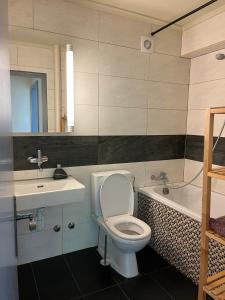 巴塞尔Feel at home - central & cosy的浴室配有卫生间、盥洗盆和浴缸。