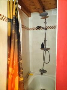 阿尔热祖尔chabouco 2 (Mien)的带淋浴和浴帘的浴室