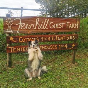 克尼斯纳Fernhill Guest Farm的坐在标志前的狗