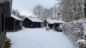 吕本Bungalowdorf Lübben的小屋旁的雪地堆积的院子