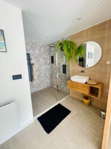 马赛La suite provençale的带淋浴、水槽和镜子的浴室