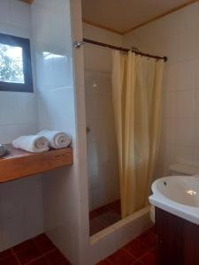 普尤瓦比港Cabanas Senderos Puyuhuapi的带淋浴和盥洗盆的浴室