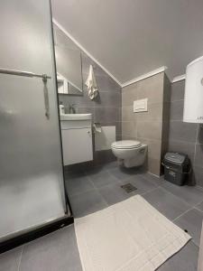 普里什蒂纳Guesthouse 12a的浴室配有卫生间、盥洗盆和淋浴。