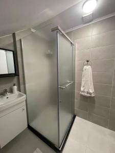 普里什蒂纳Guesthouse 12a的浴室里设有玻璃门淋浴