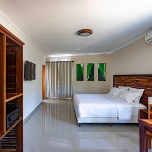瓦索拉斯Bliss Hotel Vale do Café的卧室配有白色的床和电视。