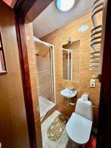 KoszarawaPensjonat Sabina的浴室配有卫生间、盥洗盆和淋浴。