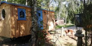 彻奇斯特雷顿Sapphire forest garden shepherd’s hut的院子中马的木屋