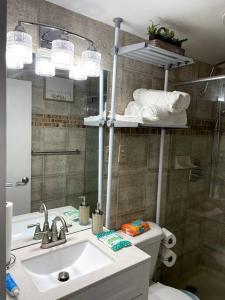 亚特兰大Home Away from Home Condo Downtown ATL 16th floor的一间带水槽、卫生间和镜子的浴室