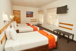 普诺普诺标准卡萨安迪娜酒店的酒店客房设有两张床和一台平面电视。