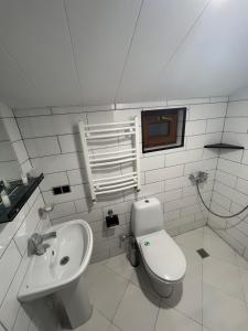 博尔若米Borjomi Yellow Hotel的白色的浴室设有卫生间和水槽。