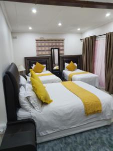东伦敦阳光山脊住宿加早餐旅馆的一间卧室配有3张带黄色枕头的床
