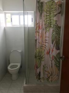 安塞罗亚莱Royale Self Catering Apartments的一间带卫生间和淋浴帘的浴室