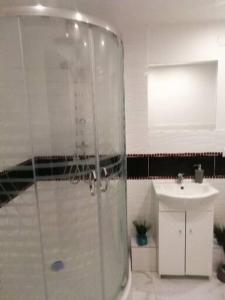 桑多梅日Willa Mateusza的一间带玻璃淋浴和水槽的浴室