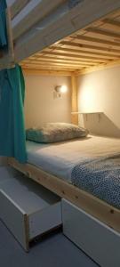 阿德耶Duque Nest Hostel的带双层床的客房中的一张双层床,冒着险