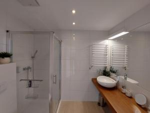 西恩纳Apartament Sienna Czarna Góra STUBAI 5的白色的浴室设有水槽和淋浴。