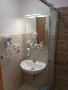 Turna nad BodvouPenzión Réva的浴室配有盥洗盆和带镜子的淋浴