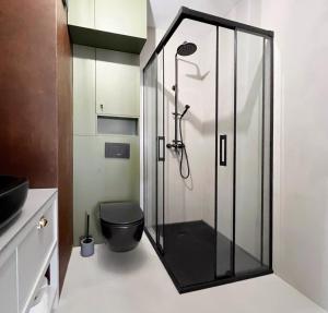 奥尔什丁Apartament Hansa Klossa的浴室设有玻璃淋浴间和卫生间