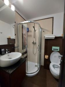锡纳亚Apartament 13 si 16 in Oxygen Residence Sinaia的带淋浴、盥洗盆和卫生间的浴室