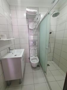 伊斯坦布尔sea star duran apart的浴室配有卫生间、盥洗盆和淋浴。