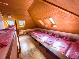 富如特贝尔格盖斯特豪斯塔纳尔普公寓的享有粉红色枕头的顶部景致