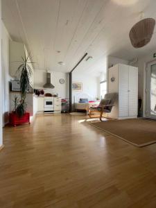 海拉Guest House Svetlana的铺有木地板的大客厅和厨房