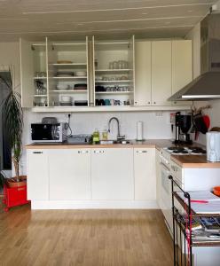 海拉Guest House Svetlana的厨房配有白色橱柜和水槽