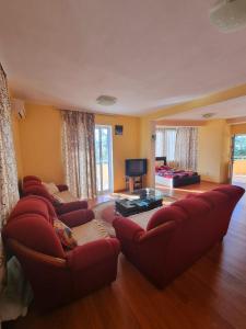 乌尔齐尼Grandino rooms&apart的客厅配有红色沙发和电视