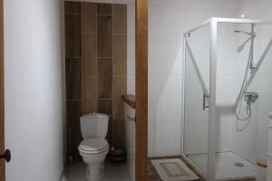 米米藏Côté lac的一间带卫生间和玻璃淋浴间的浴室