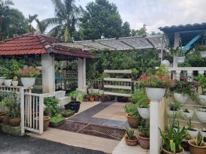 安邦Homestay Ampang Farah的种植了盆栽植物和凉棚的花园