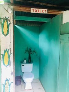 BalgueHostal Así es mi Tierra的绿色墙壁上带卫生间的浴室
