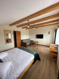 博尔塞克Villa Montana Borsec的一间卧室配有一张床、一张沙发和一台电视