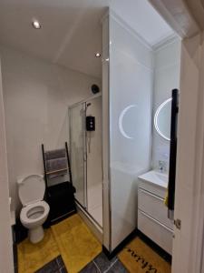 诺丁汉Balco Vista Studio的浴室配有卫生间、淋浴和盥洗盆。