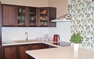 达尔沃沃达尔沃沃I度假屋的厨房配有木制橱柜、水槽和柜台。