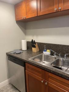 坦帕Adorable Suite in Tampa.的厨房配有水槽和台面