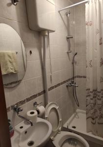 斯顿Rooms with WiFi Ston, Peljesac - 19339的浴室配有卫生间、盥洗盆和淋浴。